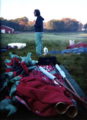 Space Bug Swarm member spears, banners, etc.  You can just make out the SP of Space Bug