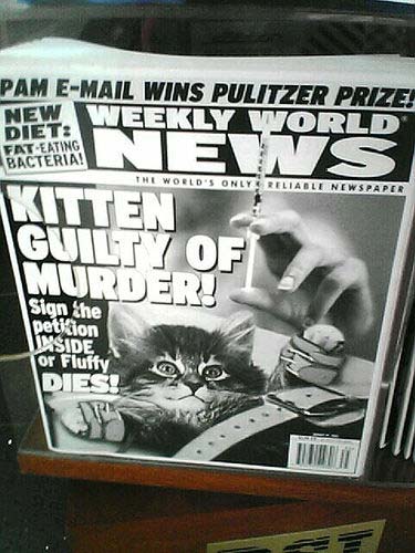 Headline: KITTEN GUILTY OF MURDER--Sign the petition inside or Fluffy DIES! Headline: KITTEN GUILTY OF MURDER--Sign the petition inside or Fluffy DIES!