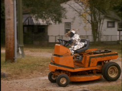 The Crooked Beak Story